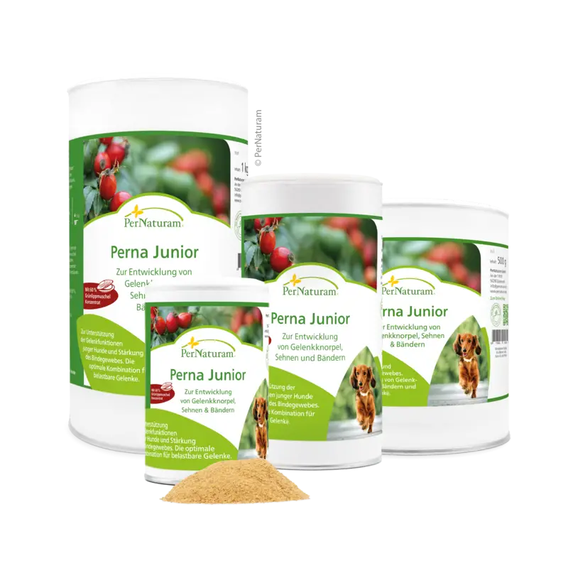 Perna Junior Perna Junior