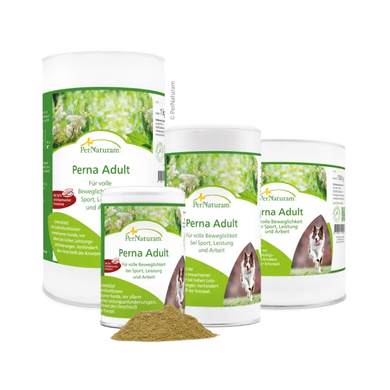 Perna Adult Perna Adult