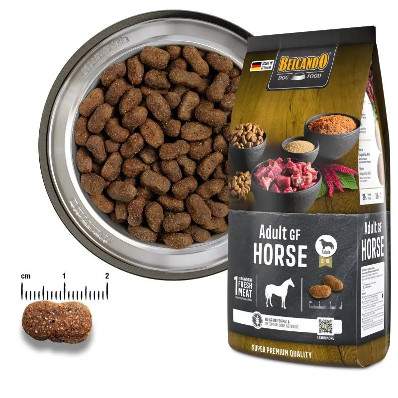 Adult GF Horse