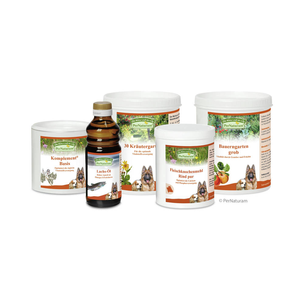 BasisPaket Barf Startpaket Adult