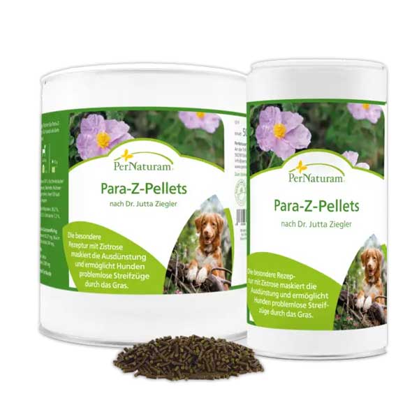 para-z-pellets-nach-dr-jutta-ziegler