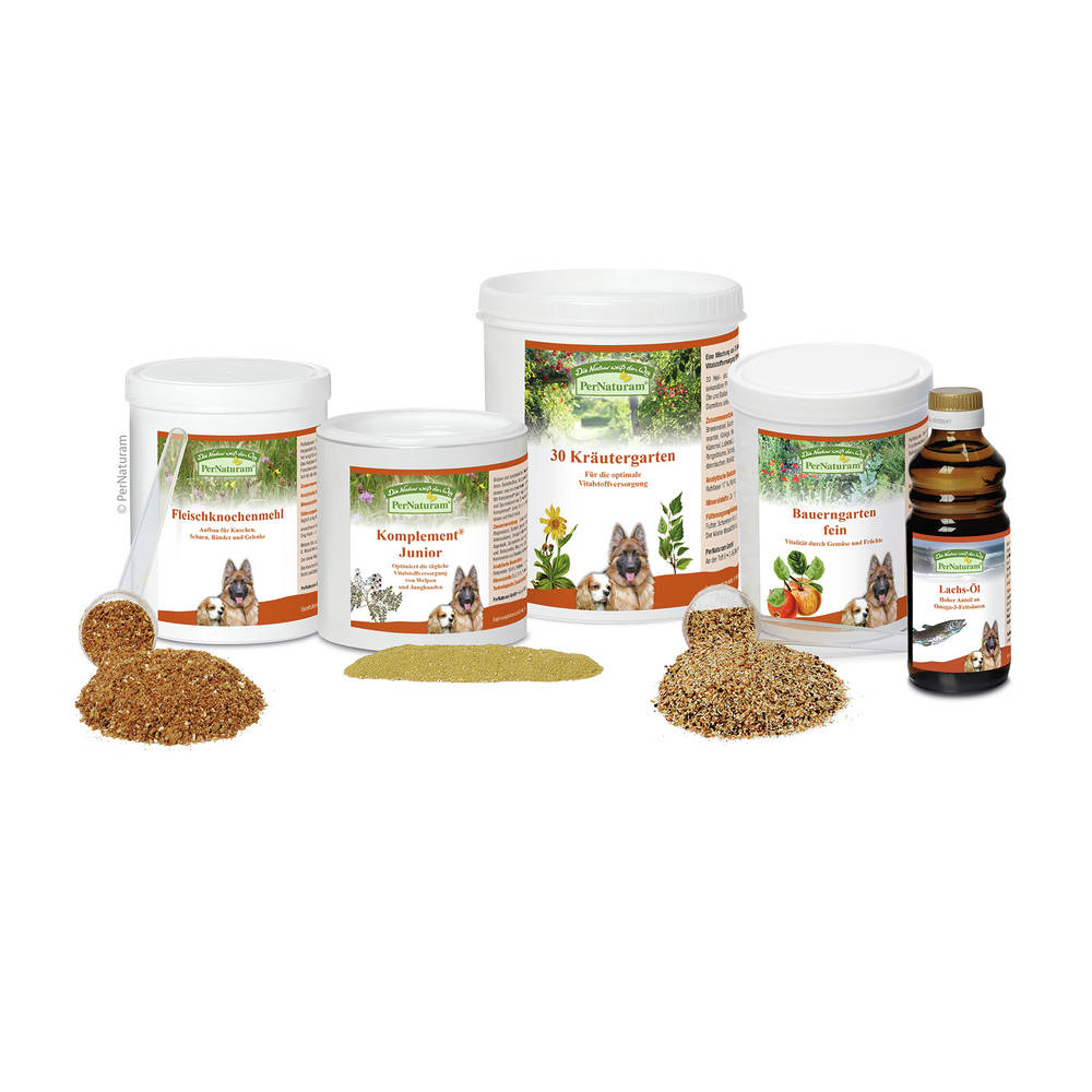 JuniorPaket Barf Startpaket Welpe